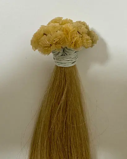 Extensions Standard 50 